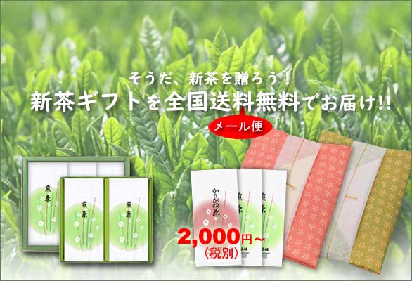 新茶ギフト送料無料