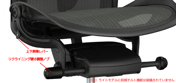 Herman Miller（ハーマンミラー） アーロンチェア リマスタード ライト