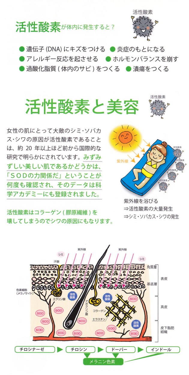 SOD様食品 エーオーエー・アオバ AOA AOVA (9g×110包)お得用サイズ