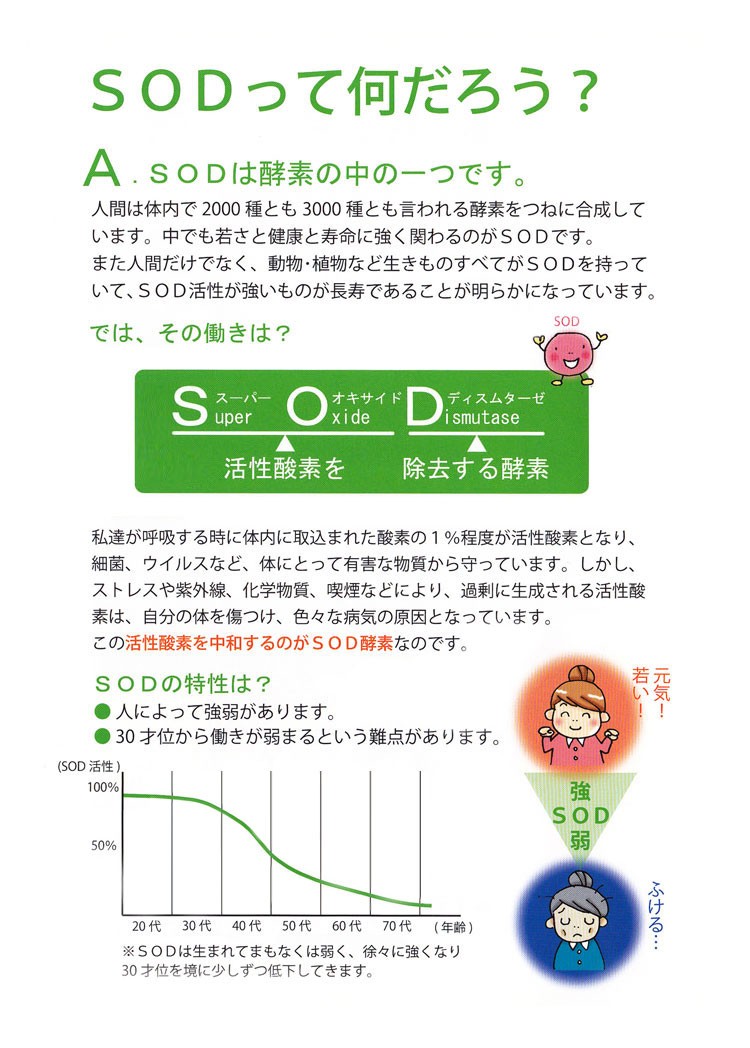 SOD様食品 エーオーエー・アオバ AOA AOVA (9g×110包)お得用サイズ