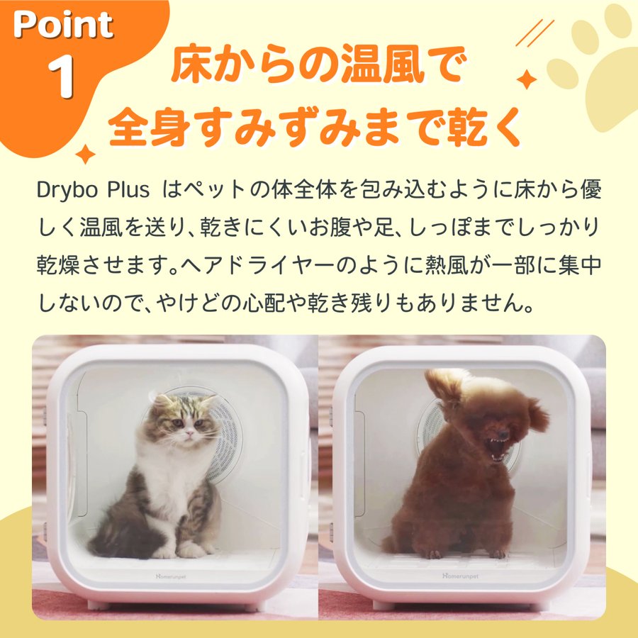 Drybo Plus ペットドライヤーハウス 自動 ペット乾燥箱 犬 猫兼用 急速乾燥ケース 大空間 通気性良い 静音 オールシーズン使用可能  お手入れ簡単 Homerunpet