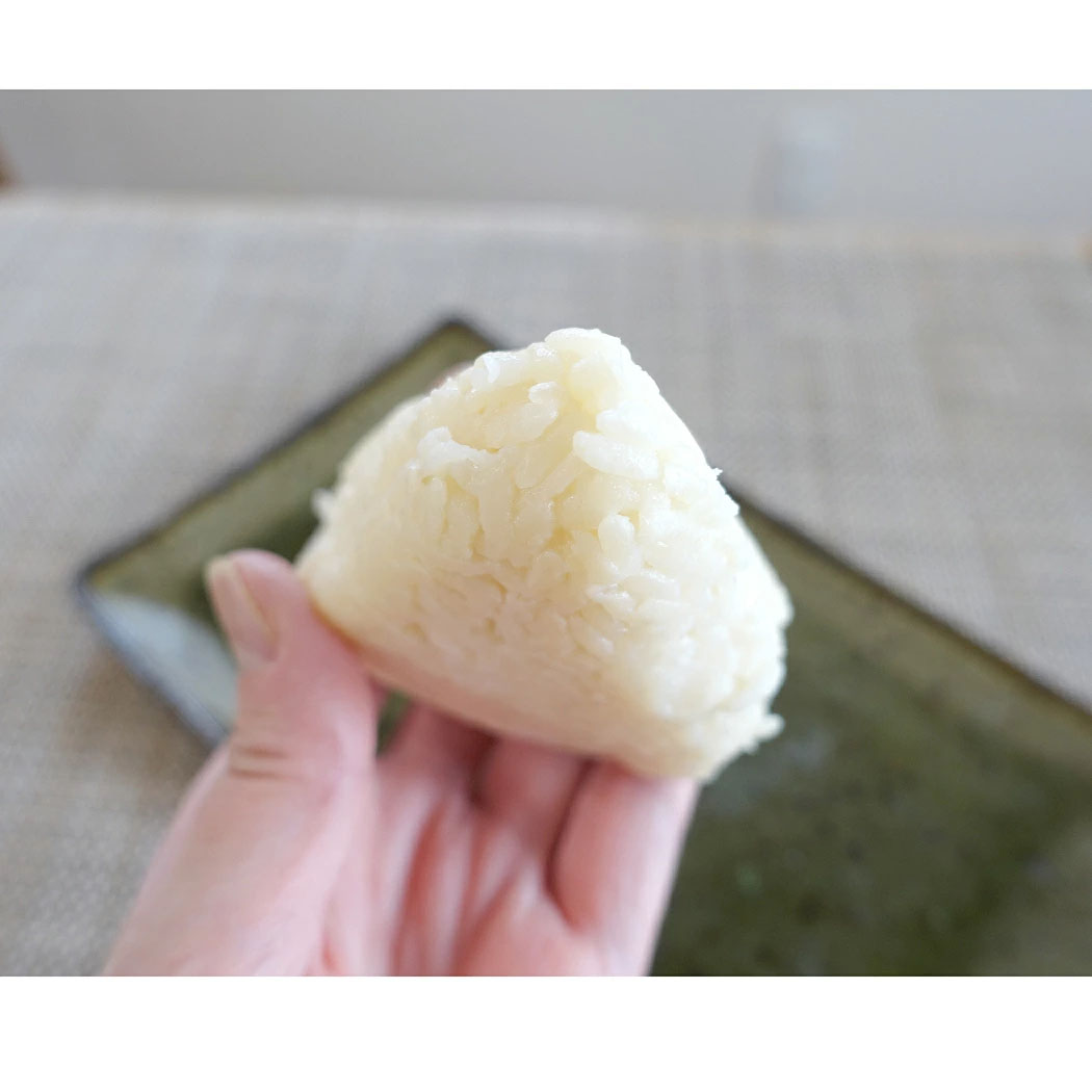 尾西食品 備蓄おにぎり 開けるだけ 防災 おにぎり 50個 中身だけ 5年