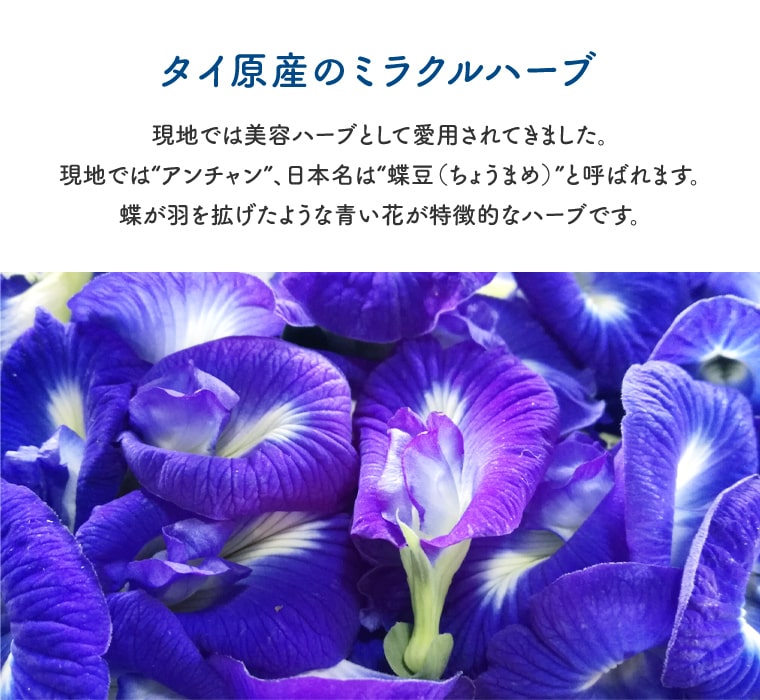 バタフライピー パウダー 20g 送料無料 製菓 ハーブ 蝶豆 アンチャン ButterFlyPea 植物茶 健康茶 :  butterflypeapowder01 : 緑茶と健康茶の専門店 茶の心 - 通販 - Yahoo!ショッピング