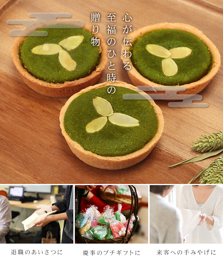 ギフト抹茶タルト