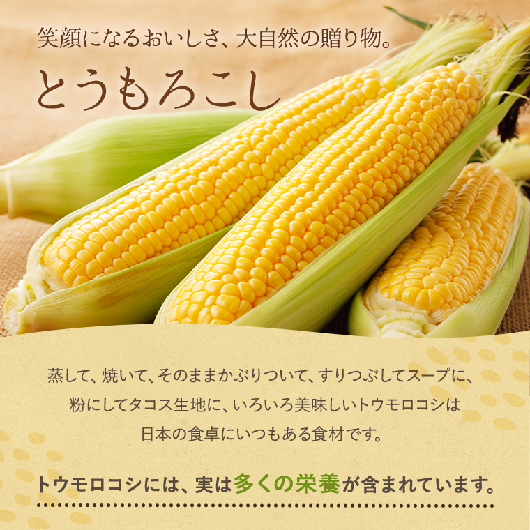 とうもろこしページ とうもろこし 味来 1ケース13〜14本 | （株）高倉農産物直売センター