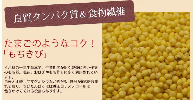 五穀米 国産 200g 送料無料 五穀 雑穀 ブレンド 九州産 雑穀米 九州産 もちあわ 大豆 もちきび 黒米 もち麦  :gokokumai:緑茶と健康茶の専門店 茶の心 - 通販 - Yahoo!ショッピング