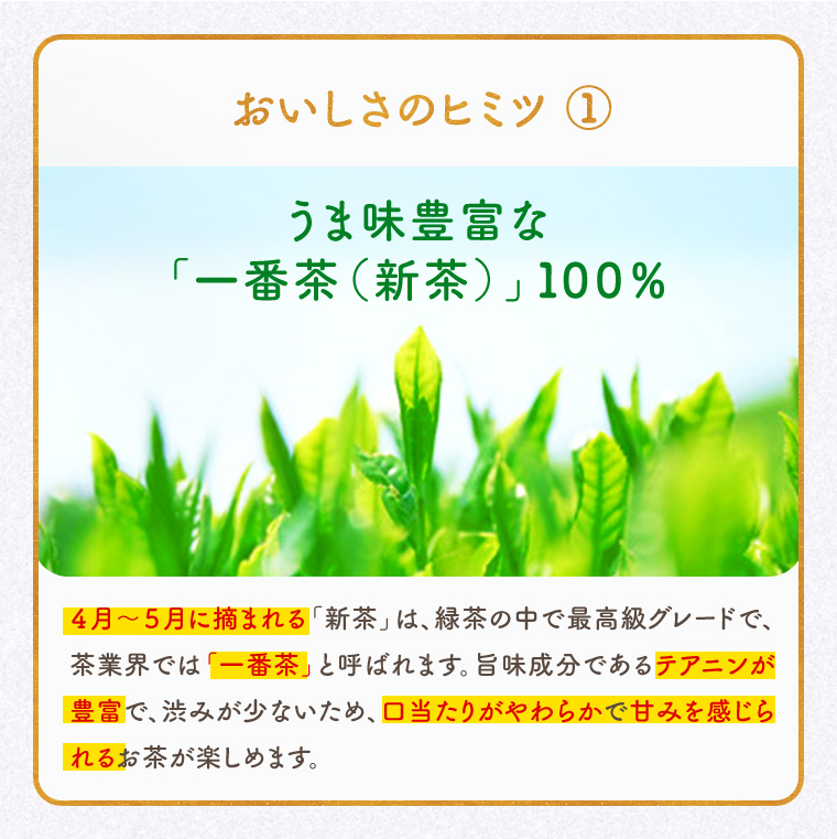 お茶 緑茶 ティーバッグ 初摘み茶 50包 3g 九州産 新茶 一番茶