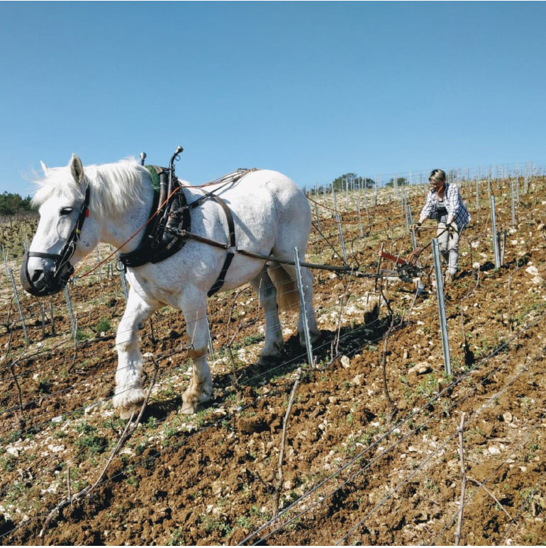 シャンパン 送料無料 ドメーヌ アレクサンドル ボネ ブラン ド