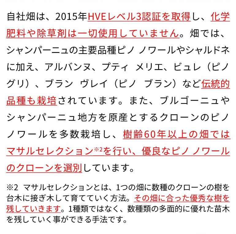 送料無料 シャンパーニュ ドメーヌ アレクサンドル ボネ ブラン ド
