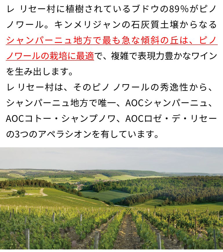 送料無料 シャンパーニュ ドメーヌ アレクサンドル ボネ ブラン