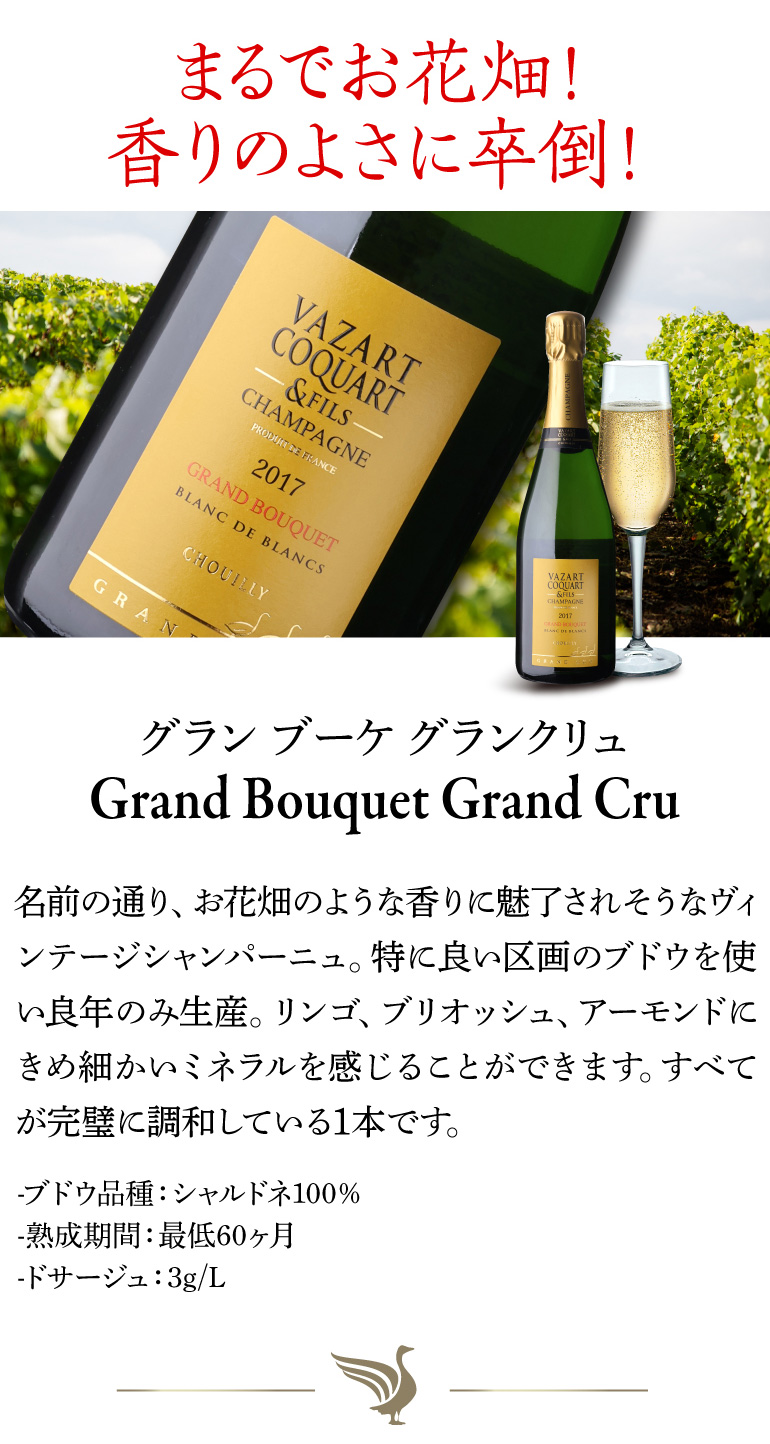 シャンパン ヴァザール コカール ロゼ ブリュット NV 750ml グラン
