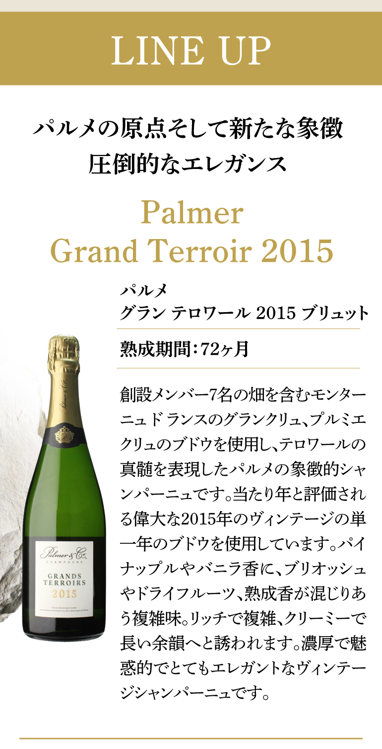 ドンペリニヨン シャンパンセット ドンペリ ＆ パルメ グラン