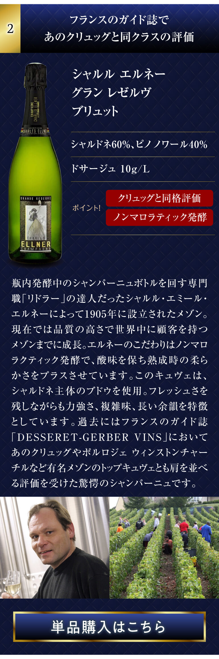 シャンパンセット シャンパン 実力派メゾンだけを集めた 高級 辛口 5本