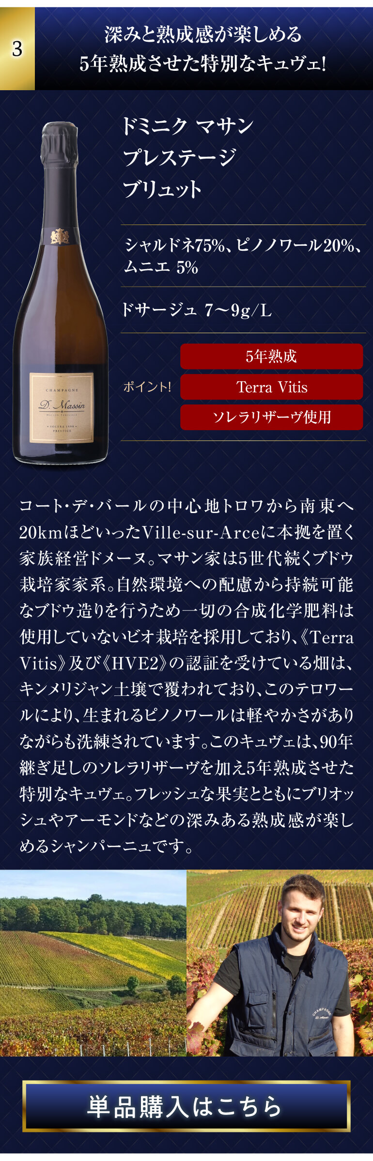 シャンパンセット シャンパン 実力派メゾンだけを集めた 高級 辛口 5本