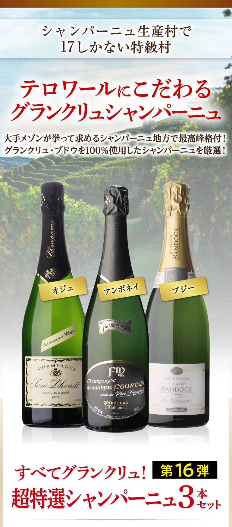 特選シャンパーニュ3本セット