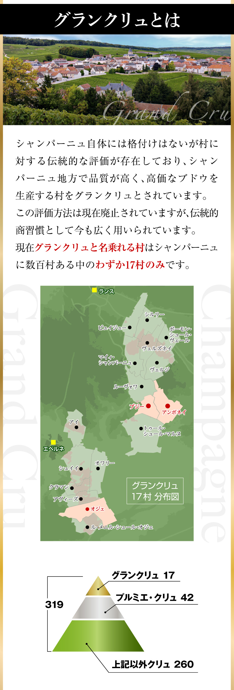 シャンパン シャンパンセット すべて グランクリュ 特選シャンパーニュ