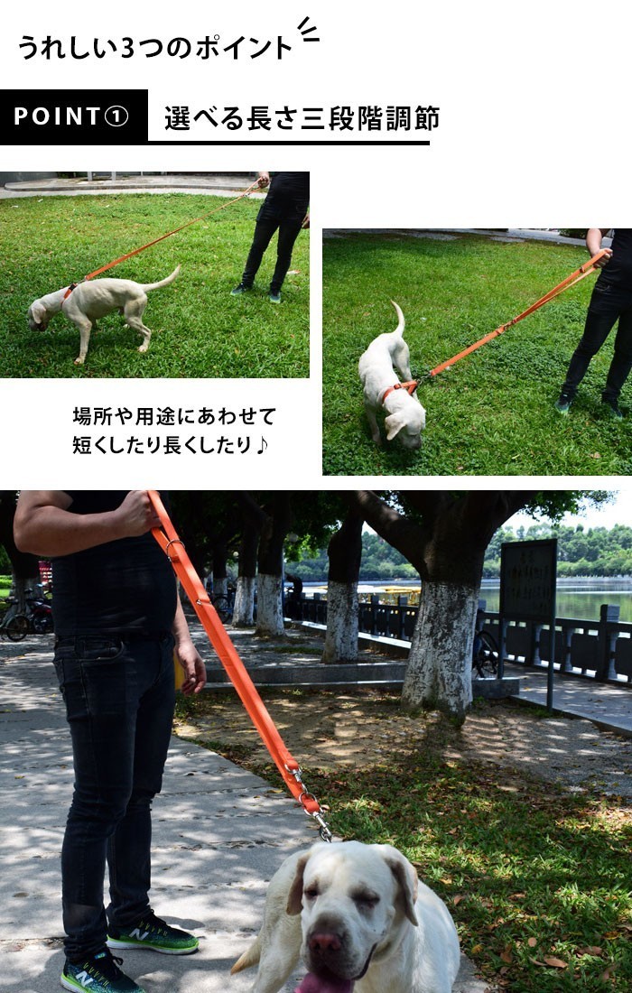 カフェリード犬リードドッグ小型犬中型犬大型犬ショートリード散歩多機能無地新作 超特価