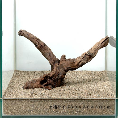 流木・石・砂｜チャーム