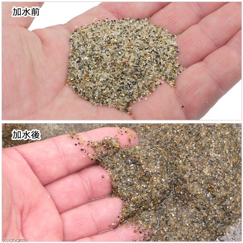 No.01 Spring Water(湧水の砂) プレミアム 3リットル(30cm水槽用) お一人様4点限り 関東当日便 :18392 ...