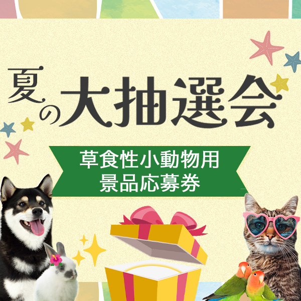【チャーム】★草食性小動物用景品応募券★夏の大抽選会1,980円で1円OFFクーポン