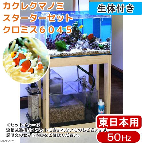 人気ブランド 海水魚セット 水槽セット 欠品カラー再入荷 Menya Ultra Com