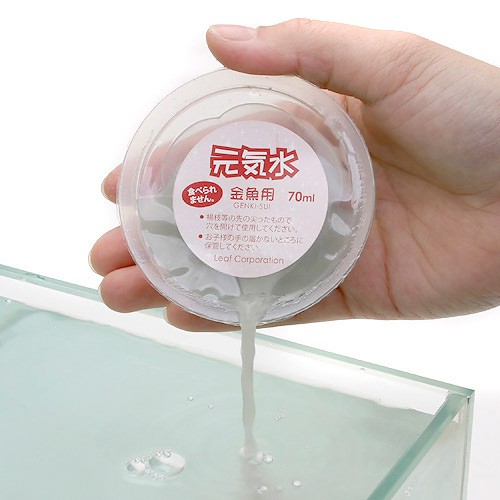 チャーム Yahoo!店 チャーム Yahoo!店