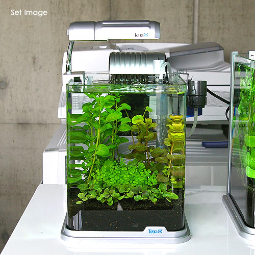 サンプル製品セット。水槽 。流木 。 水生植物の+urbandrive.co.ke