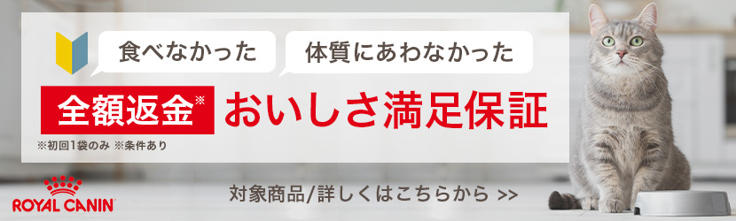 おいしさ満足