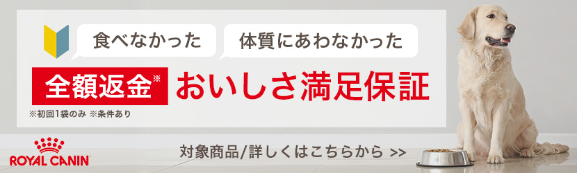 おいしさ満足
