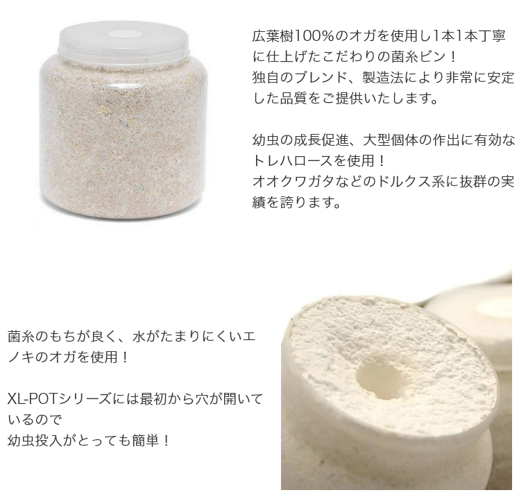 オオヒラタケ・エノキ・クヌギ混合菌糸ブロック 1個 OBM-1 - 幼虫飼育