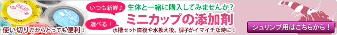 （エビ）ミックスチェリー・３色セット　Ａセット（１８匹）（各種６匹）　北海道・九州航空便要保温