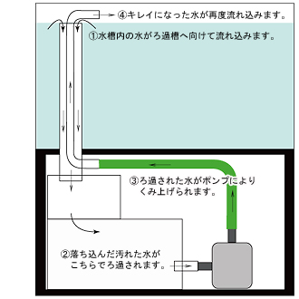 オーバーフロー水槽特集 - チャーム charm ヤフー店 - 通販 - Yahoo