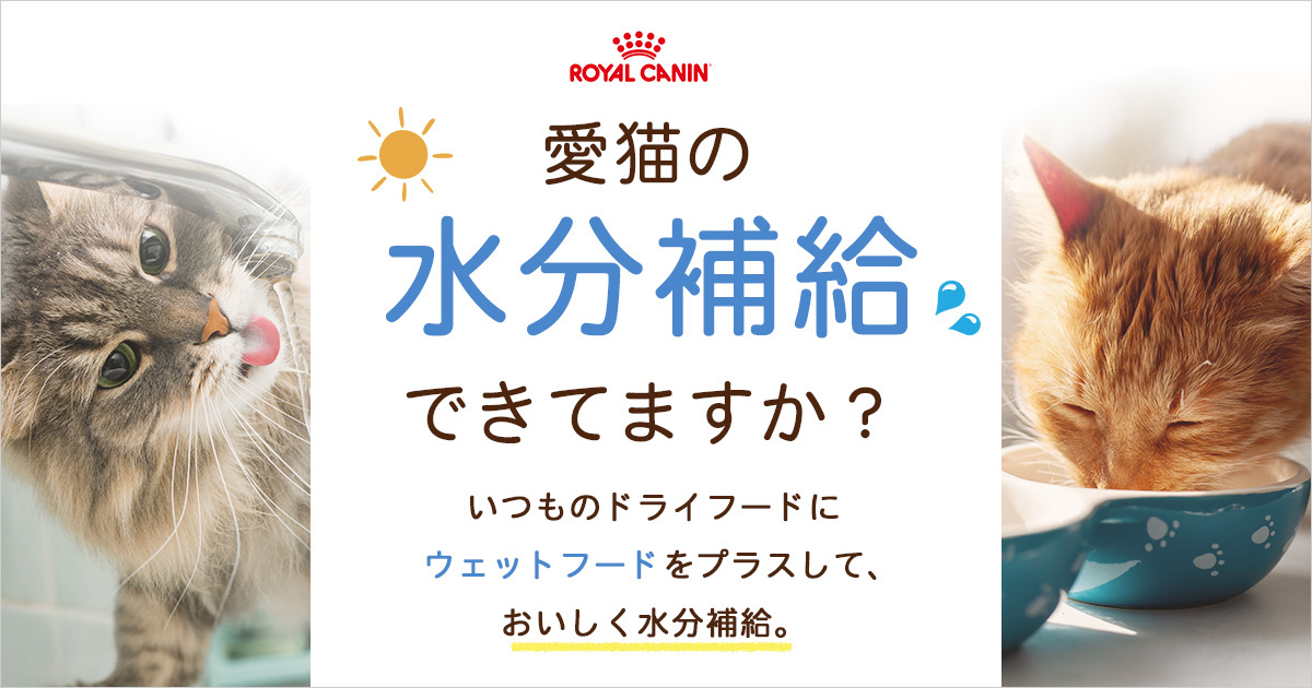 チャーム charm ヤフー店 - ロイヤルカナン｜Yahoo!ショッピング