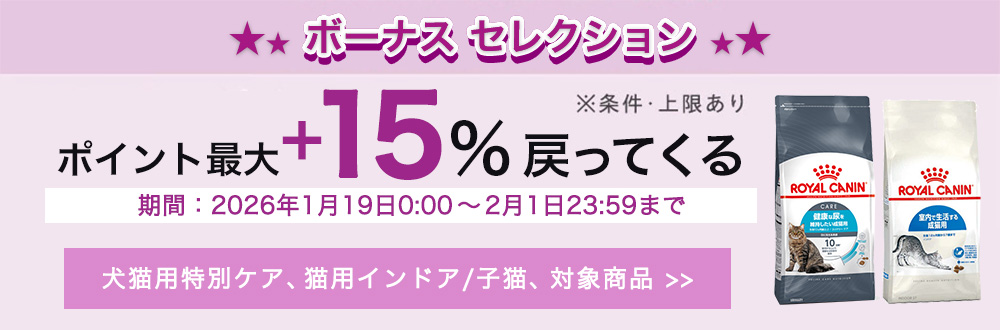 ロイヤルカナン（ROYAL CANIN） 子猫 キトン 成長後期の子猫用 生後