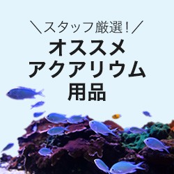 オススメアクアリウム用品