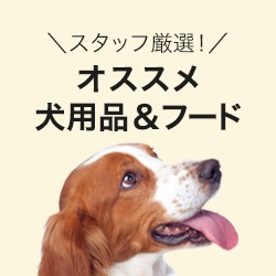 オススメ犬用品・フード