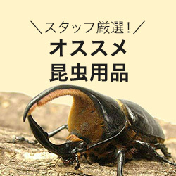 オススメ昆虫用品