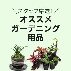 オススメガーデニング用品