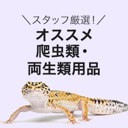 オススメ爬虫類・両生類用品
