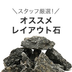 オススメレイアウト石