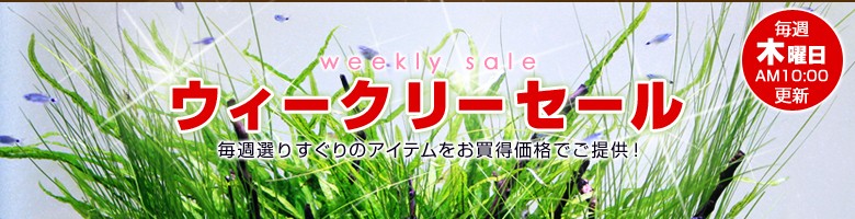 チャーム｜ウィークリーセール