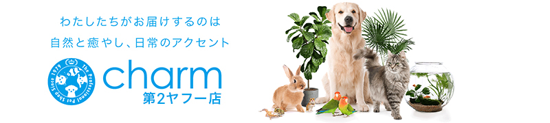 charm 第2ヤフー店 ヘッダー画像