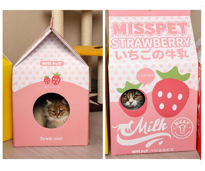 Amazon.co.jp: 猫を処方いたします。 (PHP文芸文庫) : 石田 祥: 本