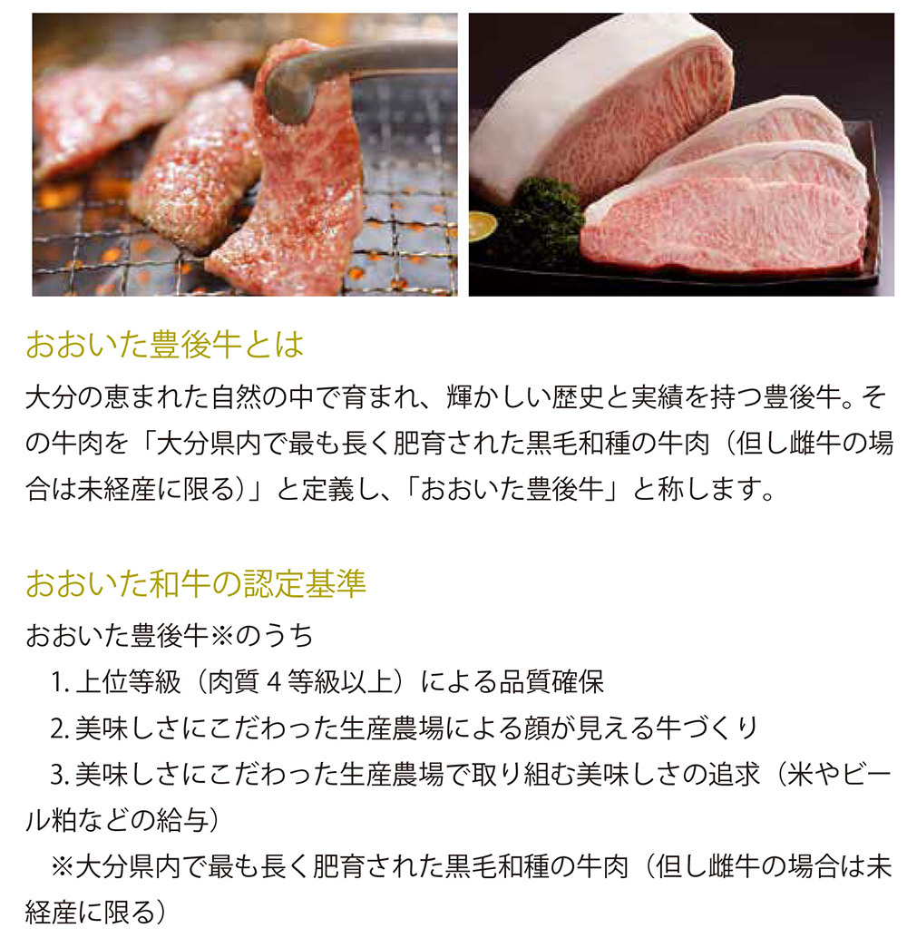 お肉 大分県産 おおいた和牛 サーロインステーキ 230g ×2枚