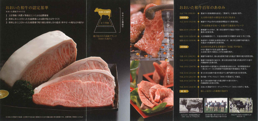 お肉 大分県産 おおいた和牛 サーロインステーキ 230g ×2枚