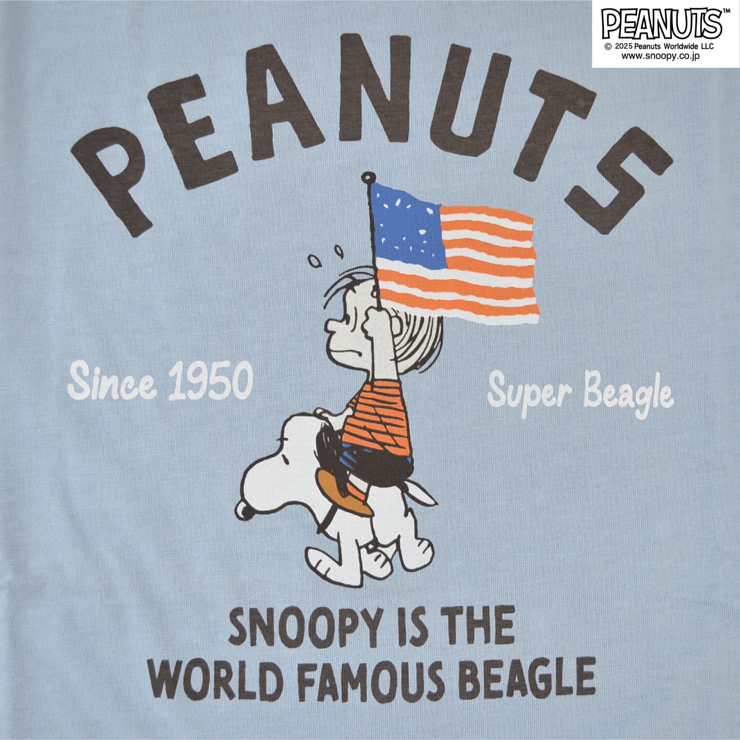 SNOOPY（スヌーピー） ライナス Tシャツ 半袖 トップス ピグメント