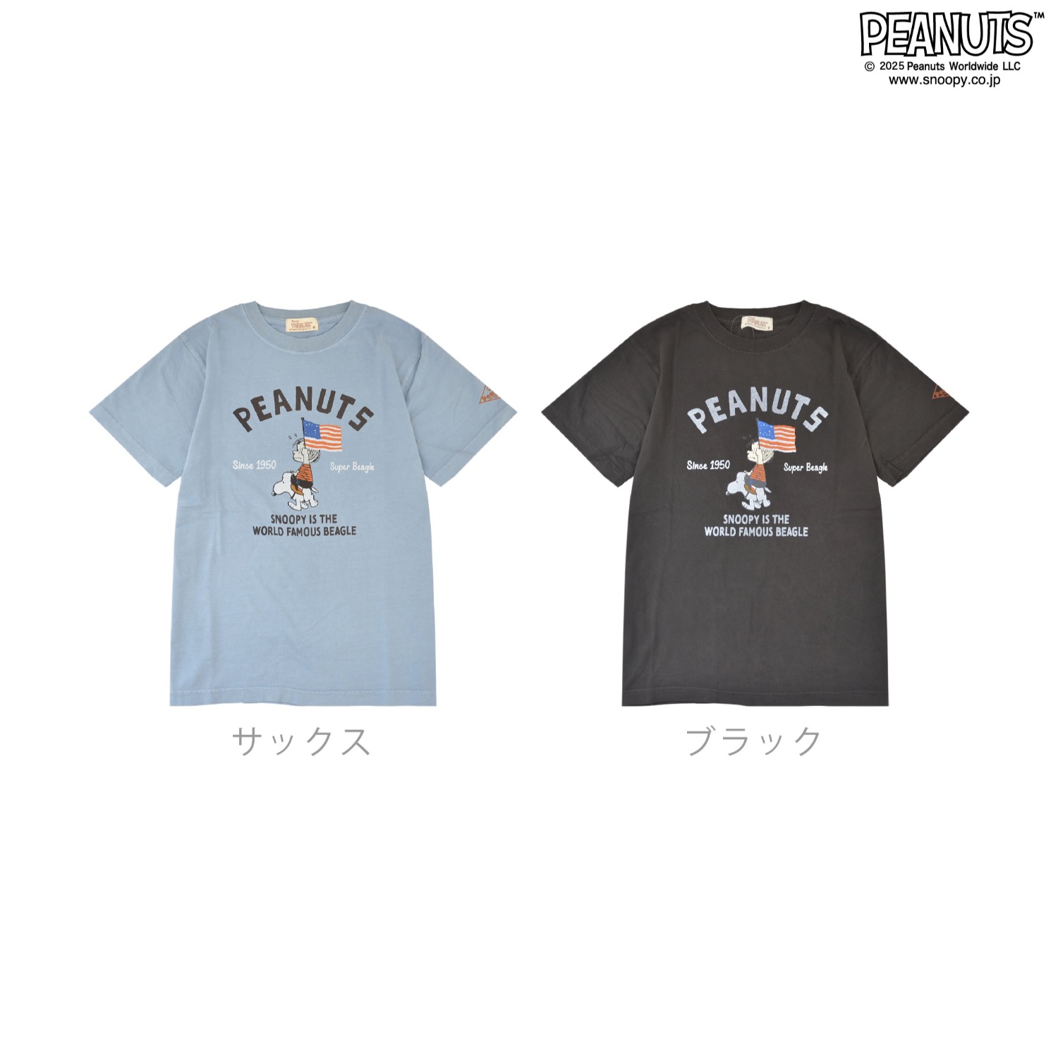 SNOOPY（スヌーピー） ライナス Tシャツ 半袖 トップス ピグメント