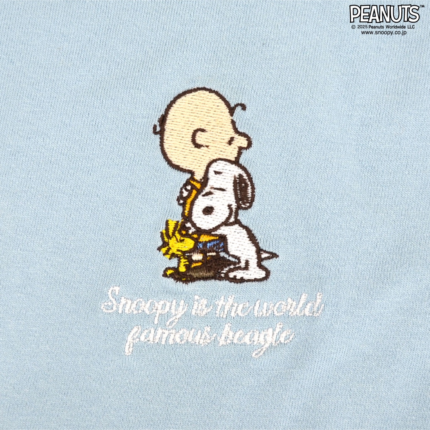 SNOOPY（スヌーピー） Tシャツ 半袖 トップス 刺繍 チャーリーブラウン