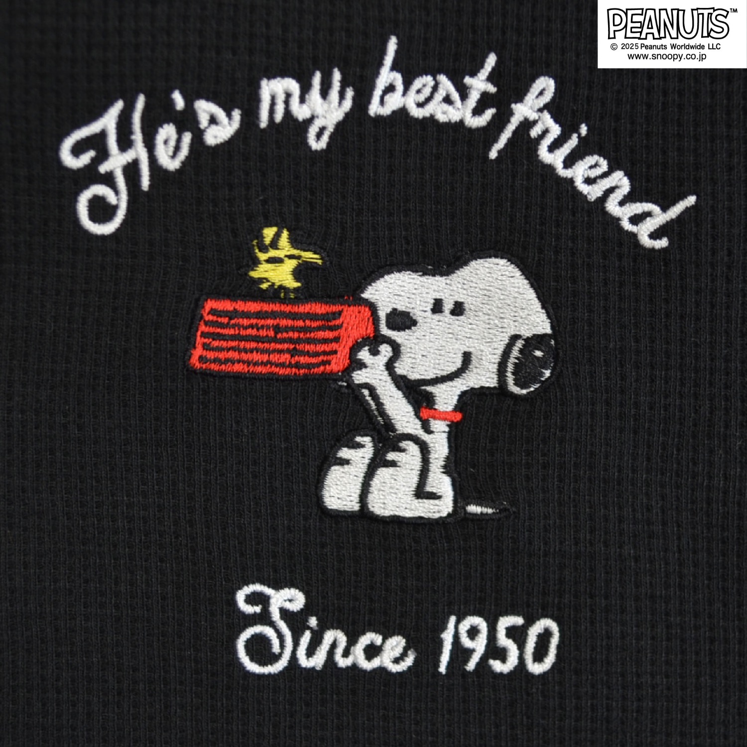 VCD ピーナッツ チャーリーブラウン スヌーピー ウッドストック 新品未開封 SNOOPY（スヌーピー） ウッドストック チャーリーブラウン ワッフル