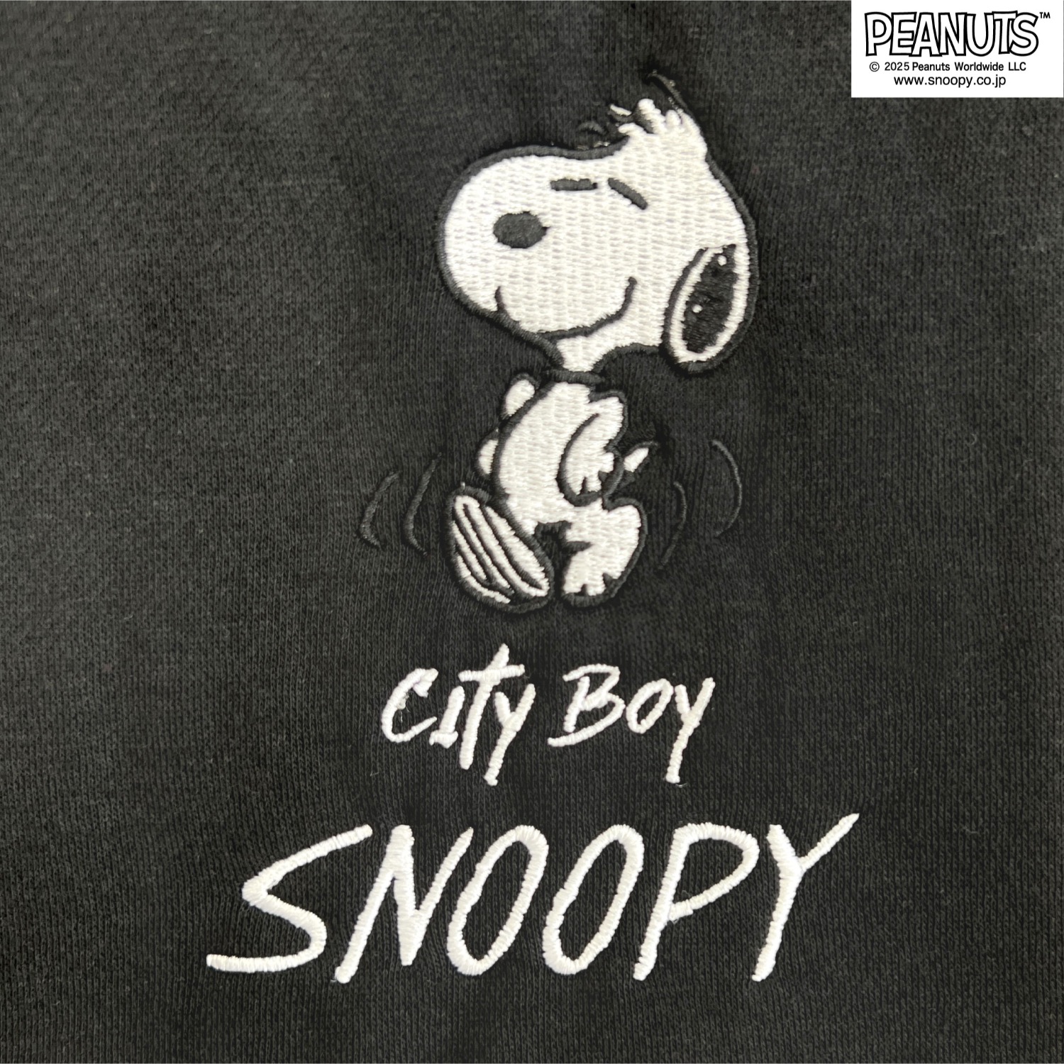 SNOOPY（スヌーピー） 裏起毛 パーカー プルパーカー 秋冬 SNOOPY 